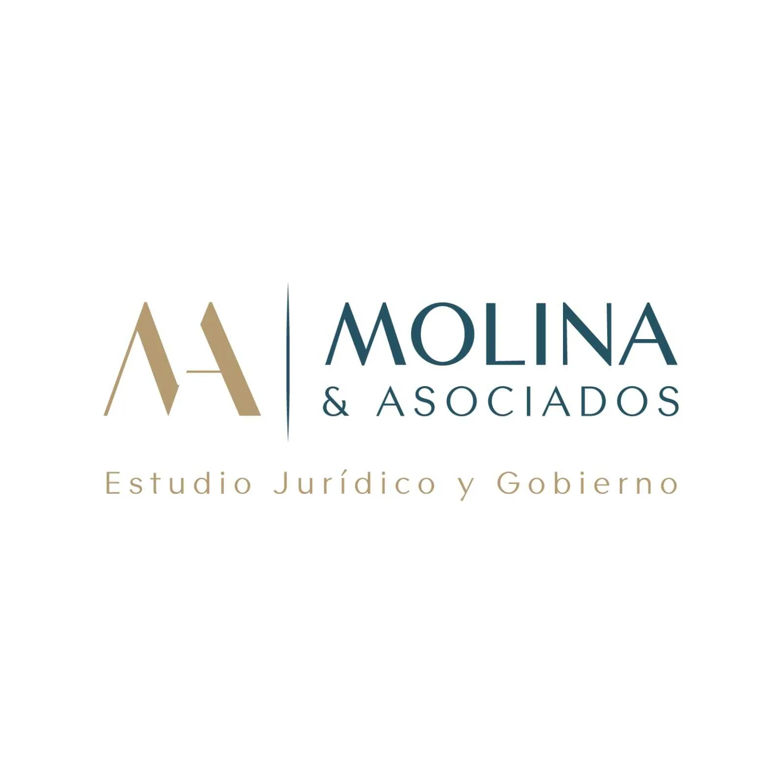 Molina & Asociados — Estudio Jurídico y Gobierno